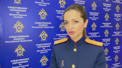 Официальный комментарий старшего помощника руководителя СУ СК России по Ленинградской области (по информационному взаимодействию с общественностью и СМИ)