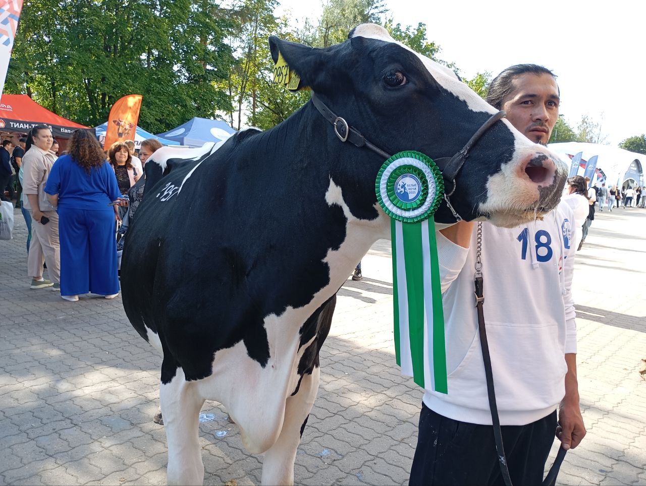 Ленобласть будет субсидировать продажи молока в населенных пунктах от производителей Ленобласть будет субсидировать продажи молока в населенных пунктах от производителей
