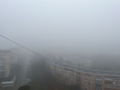 Пятничный туман укрыл Ленинградскую область