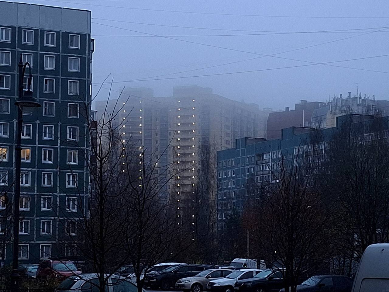 Пятничный туман укрыл Ленинградскую область Пятничный туман укрыл Ленинградскую область