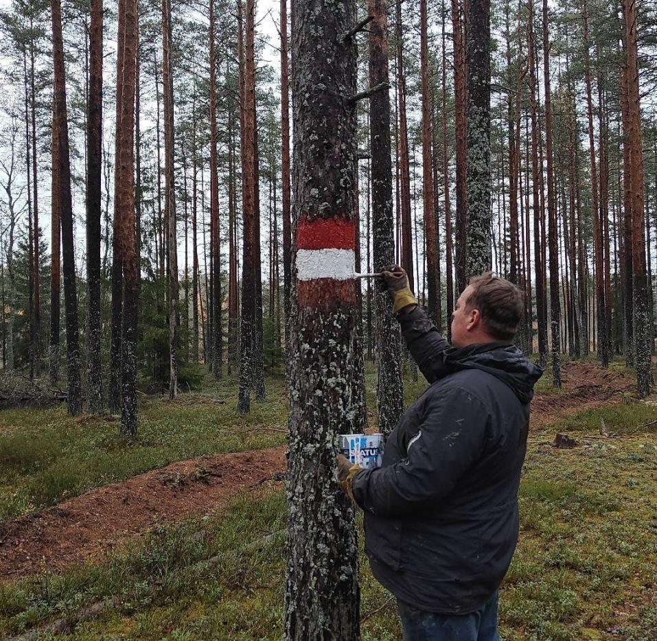 Экомаршруты Ленобласти готовят к зимнему сезону Экомаршруты Ленобласти готовят к зимнему сезону