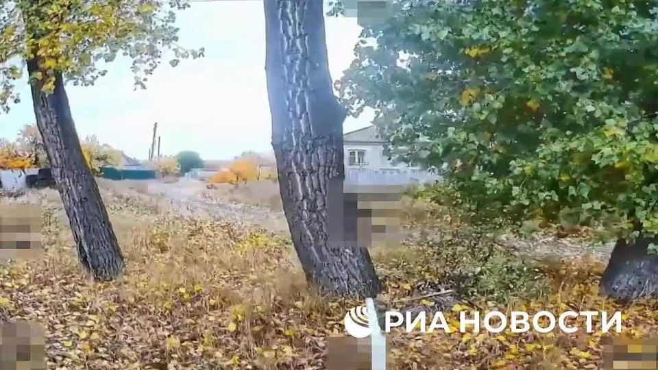         ,    ,           &quot;&quot;   &quot;&quot;