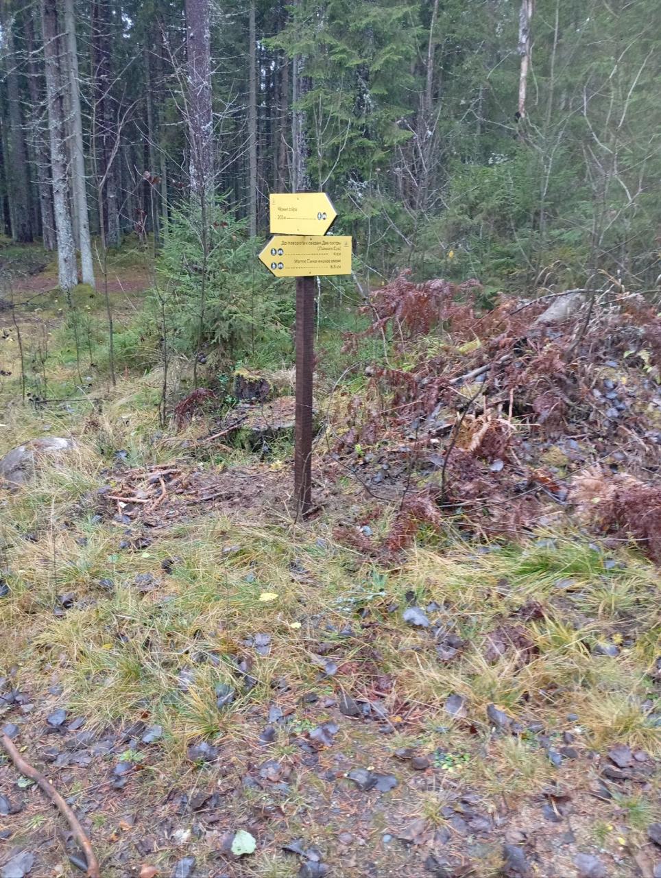 Экомаршруты Ленобласти готовят к зимнему сезону Экомаршруты Ленобласти готовят к зимнему сезону