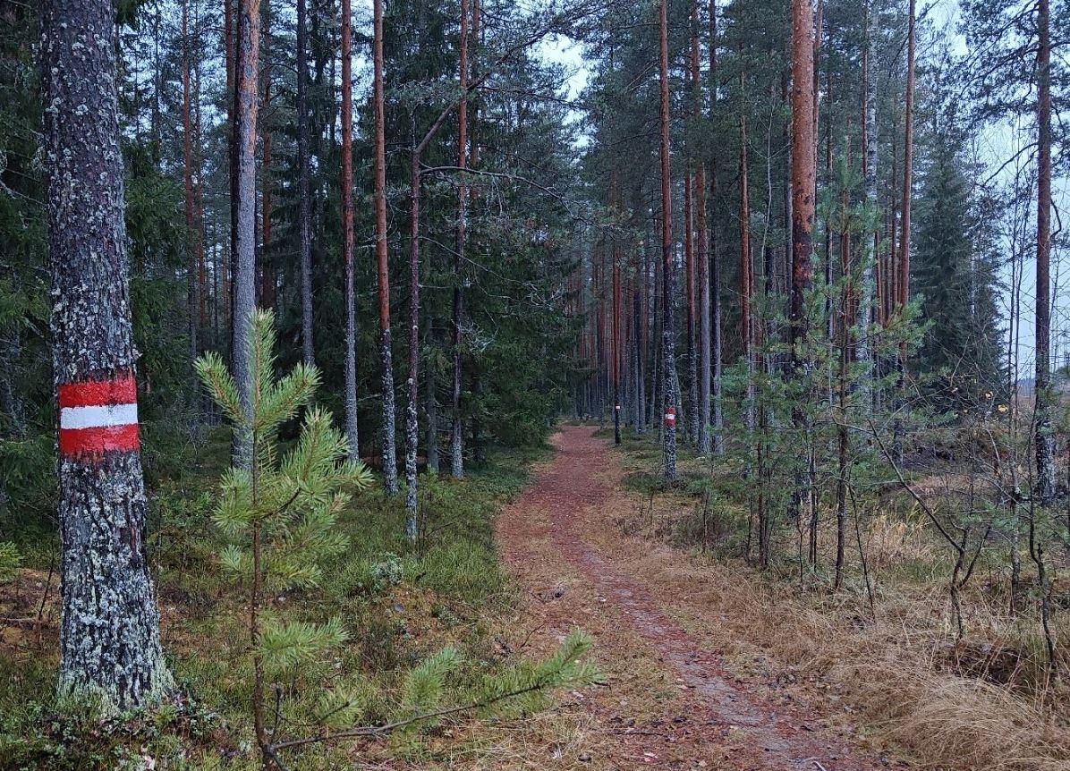 Экомаршруты Ленобласти готовят к зимнему сезону Экомаршруты Ленобласти готовят к зимнему сезону