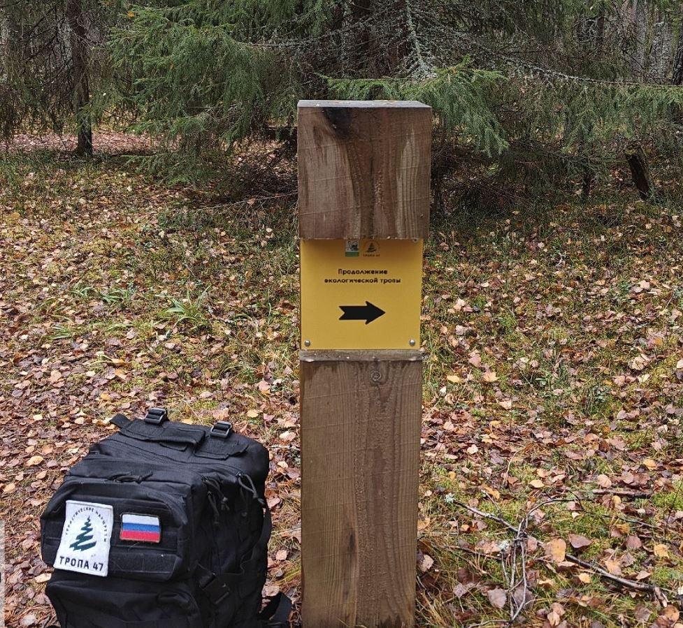 Экомаршруты Ленобласти готовят к зимнему сезону Экомаршруты Ленобласти готовят к зимнему сезону