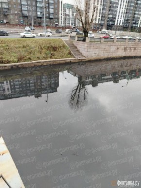 Вонь от реки Охты продолжает беспокоить петербуржцев