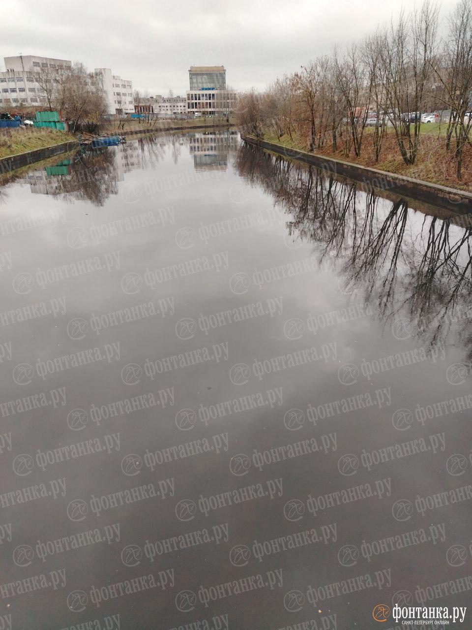 Вонь от реки Охты продолжает беспокоить петербуржцев Вонь от реки Охты продолжает беспокоить петербуржцев
