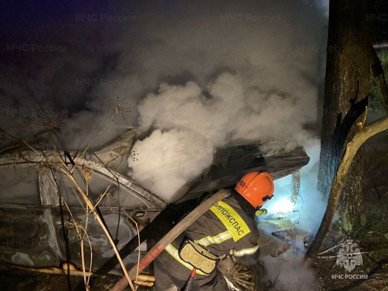 За прошедшие сутки подразделения территориального пожарно-спасательного гарнизона Ленинградской области реагировали на 7 оперативных событий: