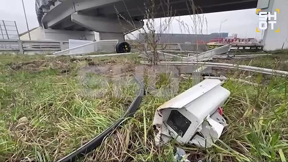      Lamborghini    100 /       ,         8 