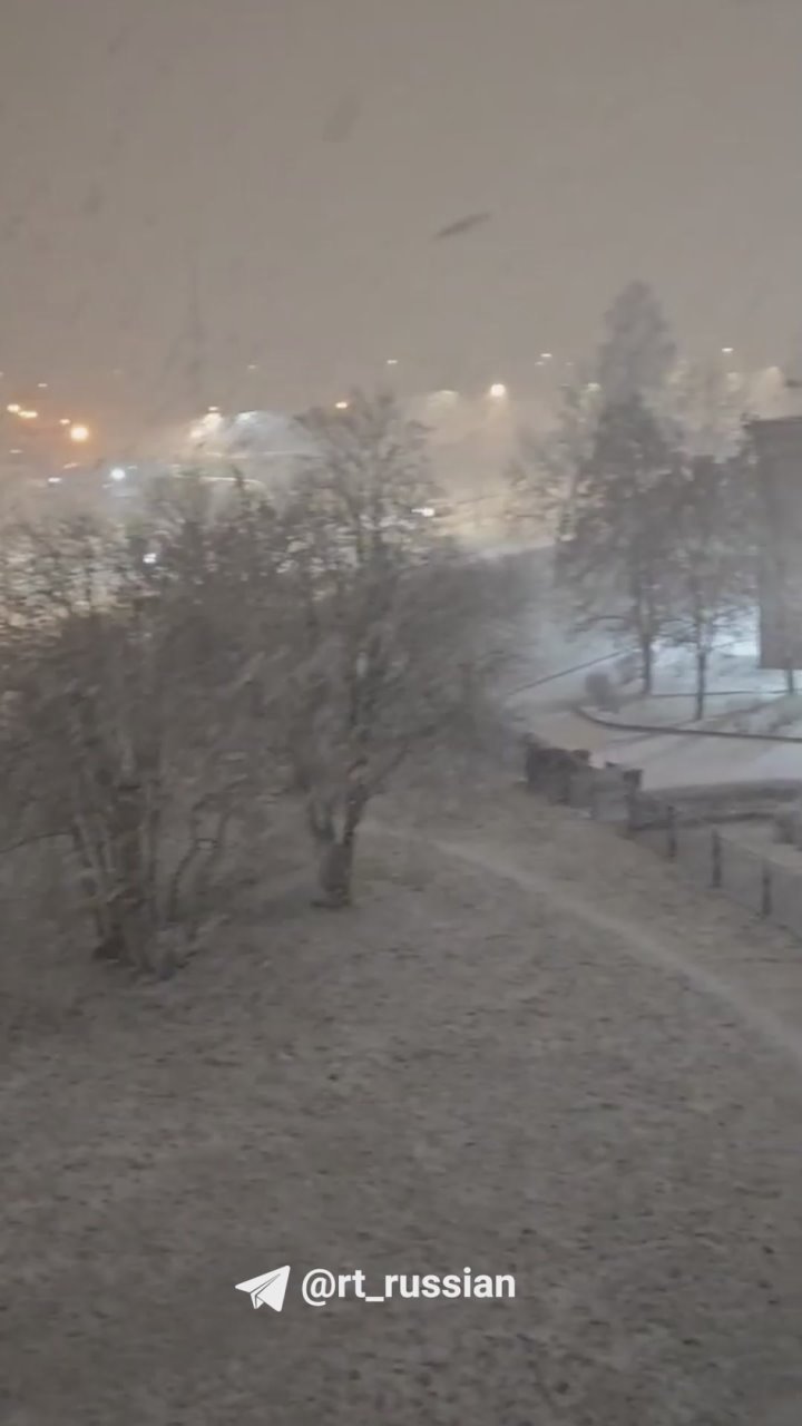 Снегопад накрывает Петербург и Ленобласть: заметает Ломоносов, Гатчину и Петергоф