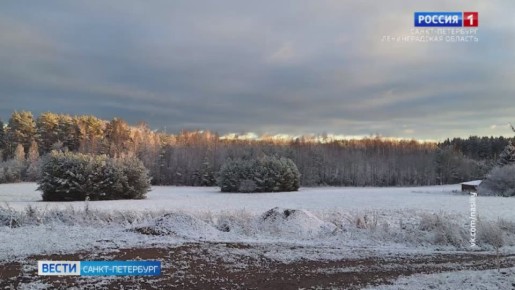 Циклон принесёт в Петербург мокрый снег
