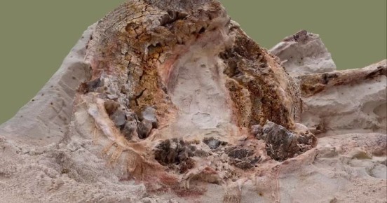 Палеонтологи показали 3D-скан древнейшего пня из Ленинградской области