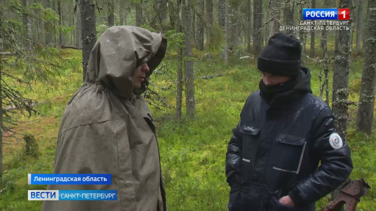 В Лодейнопольском районе мальчик нашёл самолет времён Великой Отечественной войны