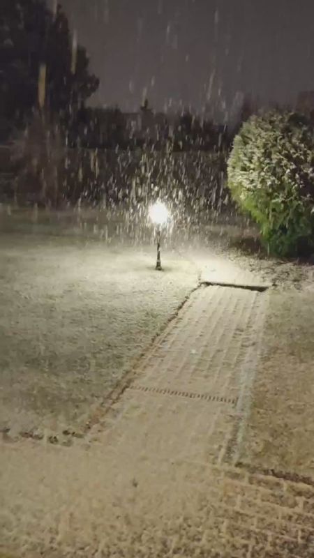 Николай Стариков: Ленинградская область. Первый снег