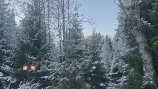 Петербург первый снег проспал, а вот Ленобласть наслаждается обновлённым пейзажем