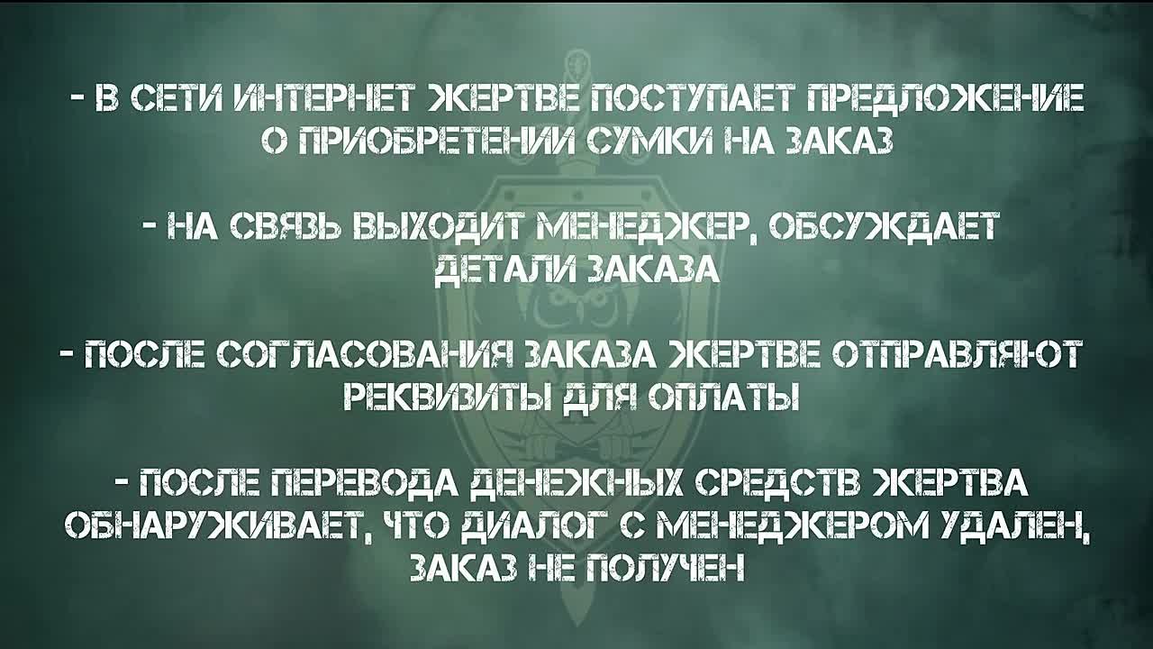 «УСЛЫШЬ МЕНЯ». Выпуск #55 «Обман при покупке товара в сети Интернет» В сети Интернет жертве поступает предложение об изготовлении сумки на заказ