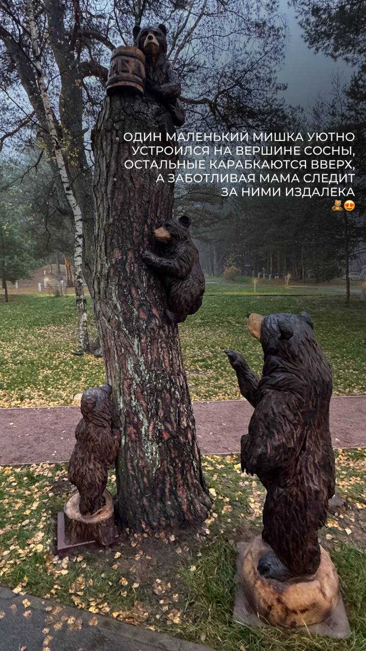 Мишки в лесу. Семейство забавных медведей поселилось в Приморском парке Соснового бора по инициативе местного предпринимателя Мишки в лесу. Семейство забавных медведей поселилось в Приморском парке Соснового бора по инициативе местного предпринимателя