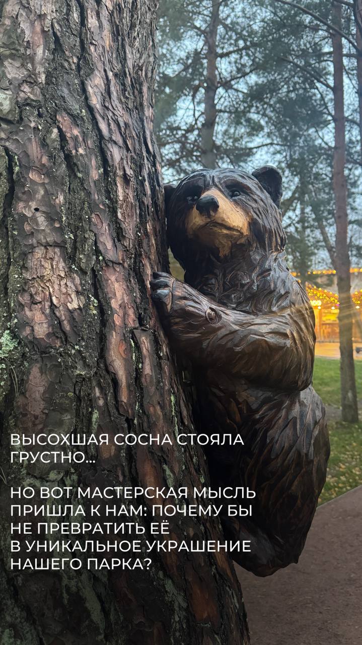 Мишки в лесу. Семейство забавных медведей поселилось в Приморском парке Соснового бора по инициативе местного предпринимателя