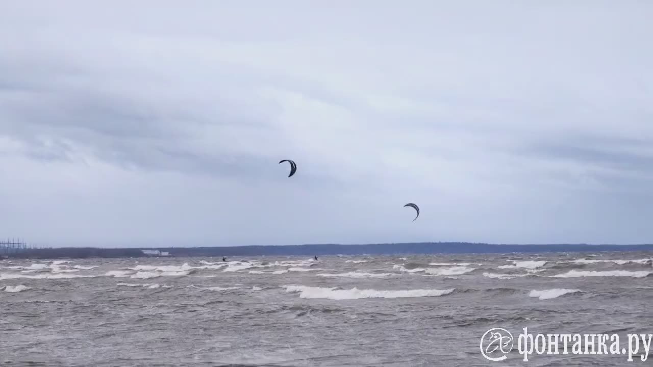 Первый снег вовсе не помеха кайтсерфингистам в Сосновом Бору