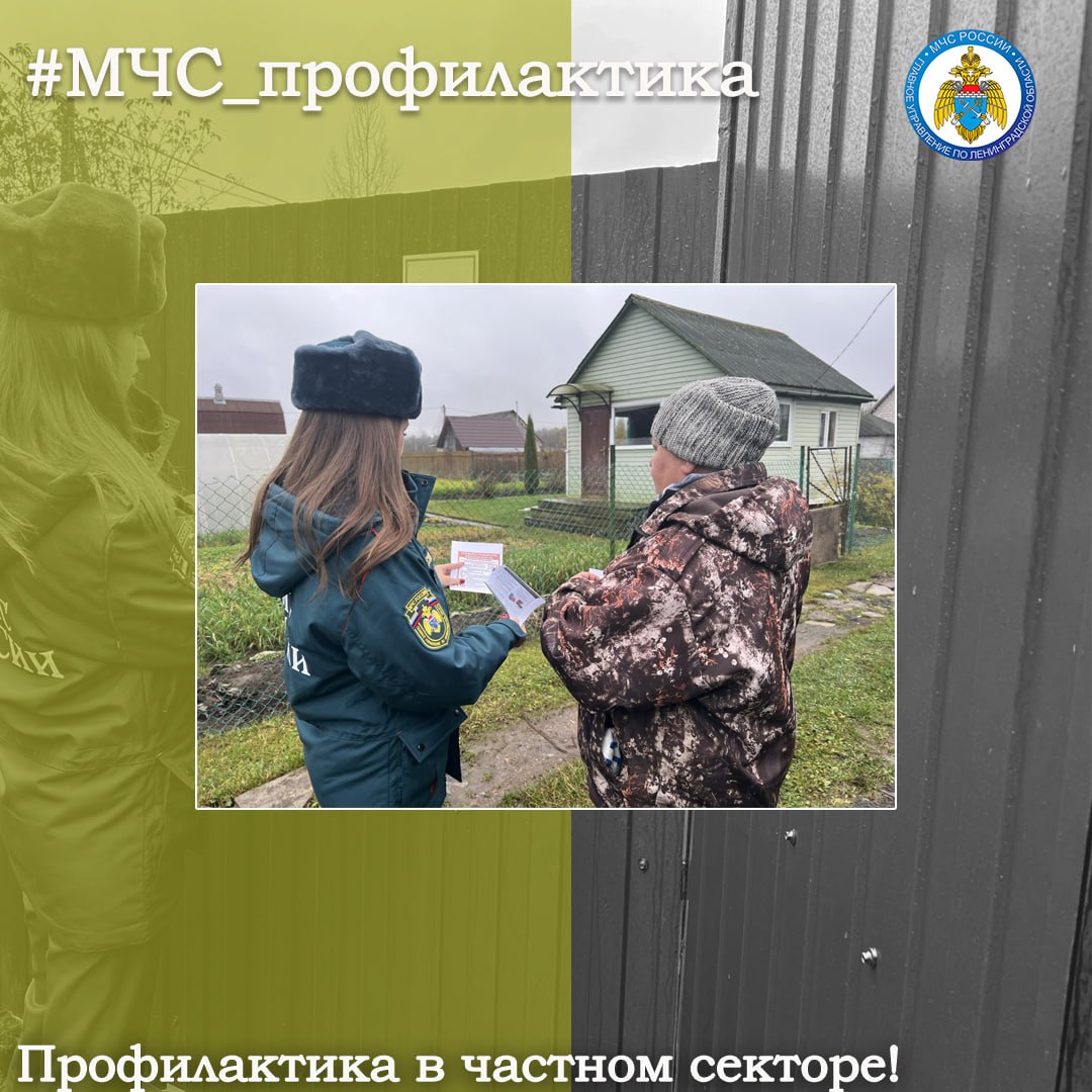 Профилактика в частном секторе