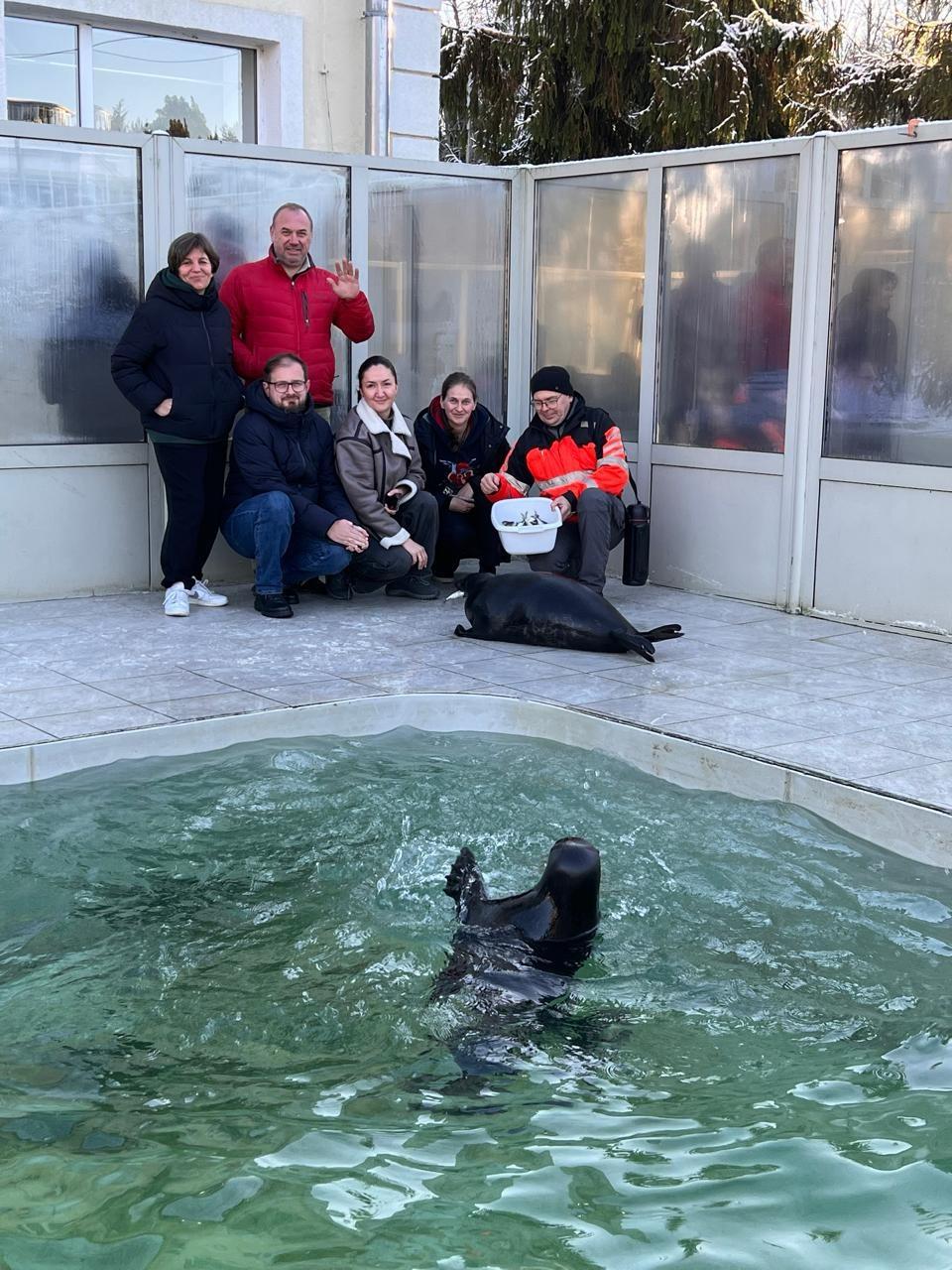 Волонтеры провели субботник в Центре изучения морских млекопитающих в Репино