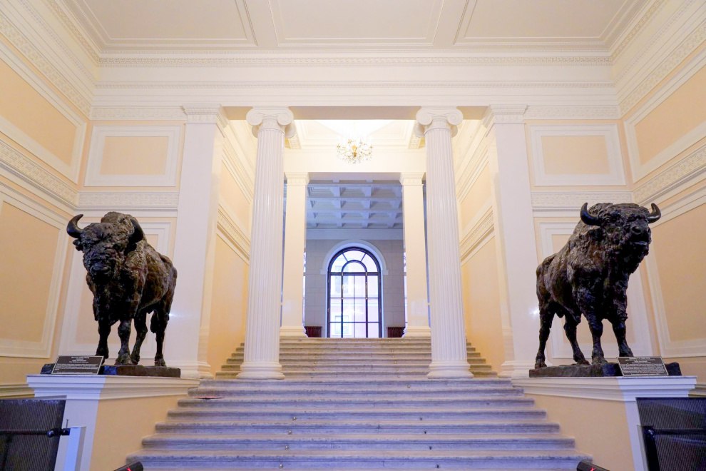 Статуи зубров вернулись в дом Пашкова после реставрации