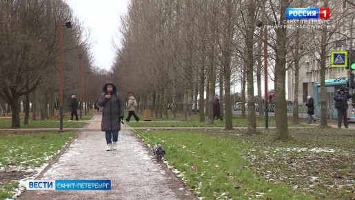 В Петербурге ожидаются мокрый снег и гололёд