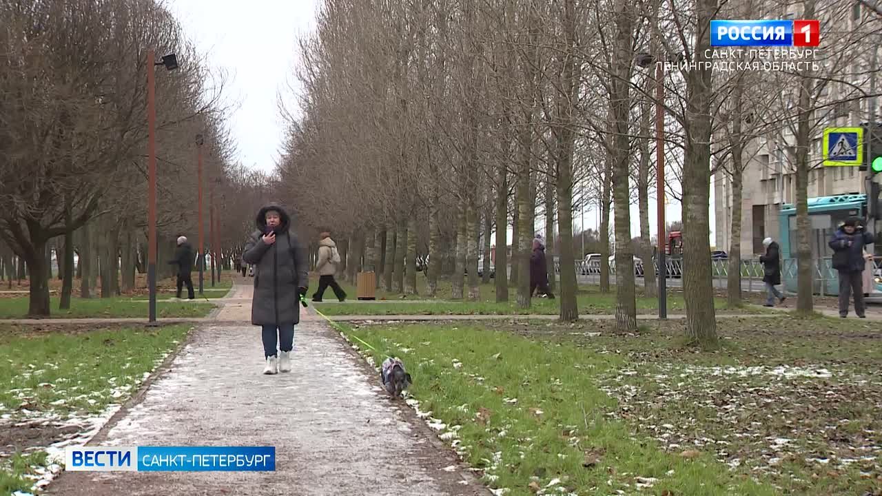 В Петербурге ожидаются мокрый снег и гололёд