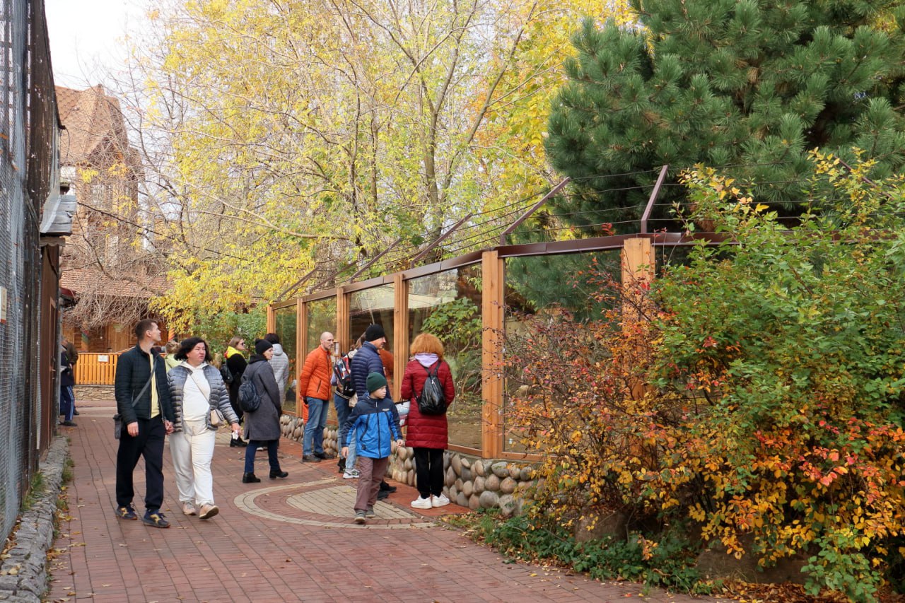 В прошлом году мы совместно с Комитетом по охране памятников разработали концепцию по развитию Ленинградского зоопарка