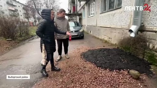 Запущенные дома. Жители Красной Долины в Выборгском районе Ленинградской области в очередной раз обратились в редакцию ЛенТВ24 с просьбой помочь