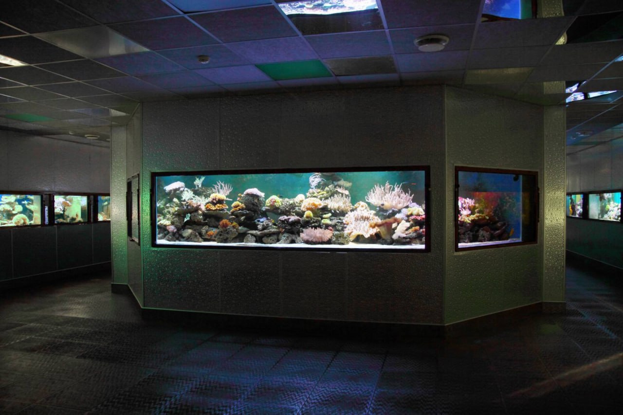 В прошлом году мы совместно с Комитетом по охране памятников разработали концепцию по развитию Ленинградского зоопарка В прошлом году мы совместно с Комитетом по охране памятников разработали концепцию по развитию Ленинградского зоопарка