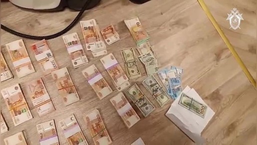 В Ленинградской области задержаны бывший и действующий заместители главы администрации Тосненского района по подозрению в мошенничестве с земельными участками в особо крупном размере