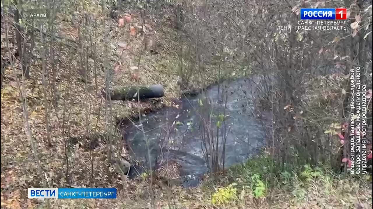 По факту загрязнения Охты стоками возбуждено уголовное дело