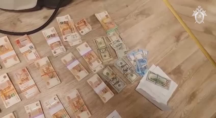 Задержаны действующий и бывший заместители главы администрации Тосненского района Ленобласти по подозрению в мошенничестве с землей в особо крупном размере, сообщили в СКР