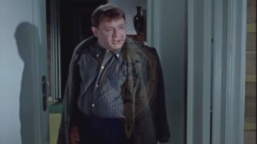 Группировку, изготавливавшую и распространявшую порнографические материалы с детьми в возрасте 1–2 лет, задержали в Петербурге