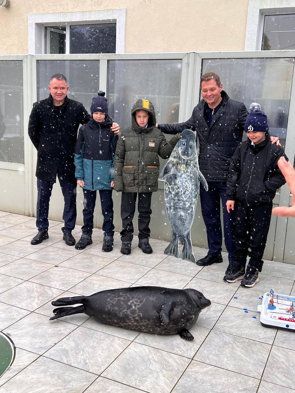 Нерпа Шлиссик из Фонда друзей балтийской нерпы стал живым символом Федерации хоккея Ленинградской области