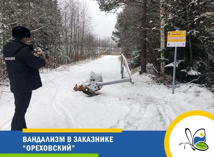 В заказнике «Ореховский» орудовали вандалы