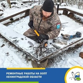 На ООПТ Ленобласти продолжаются ремонтные работы