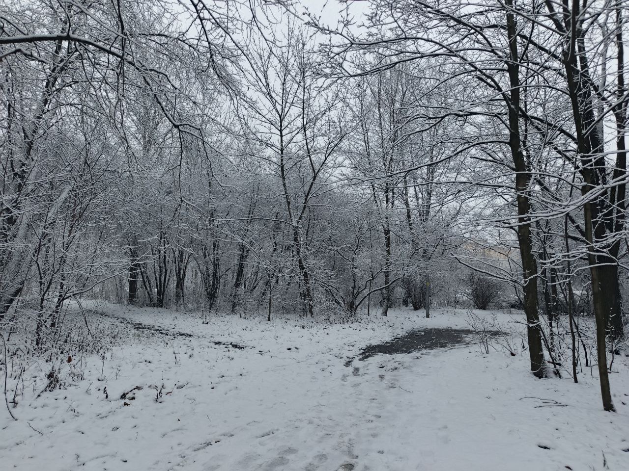 Неделя в Петербурге началась со снегопада, укрывшего город плотным белым одеялом