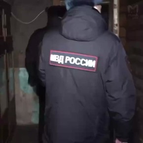 Майнинг-ферму обнаружили в цыганском поселении в Тосненском районе Ленобласти — в доме мутилась крипта, а хозяева любовались фресками на стенах и стульями с вензелями