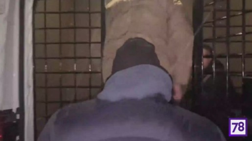 Подпольную майнинговую ферму обнаружила полиция во время проверки домов цыган в Ленобласти