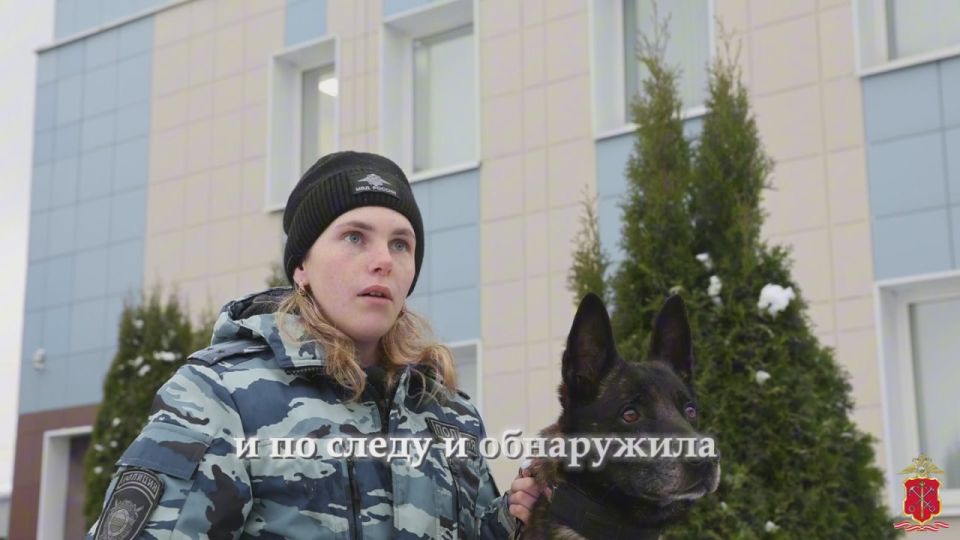 Служебный пёс по кличке Ямато помог полицейским задержать поджигателя вышки связи в Ленобласти