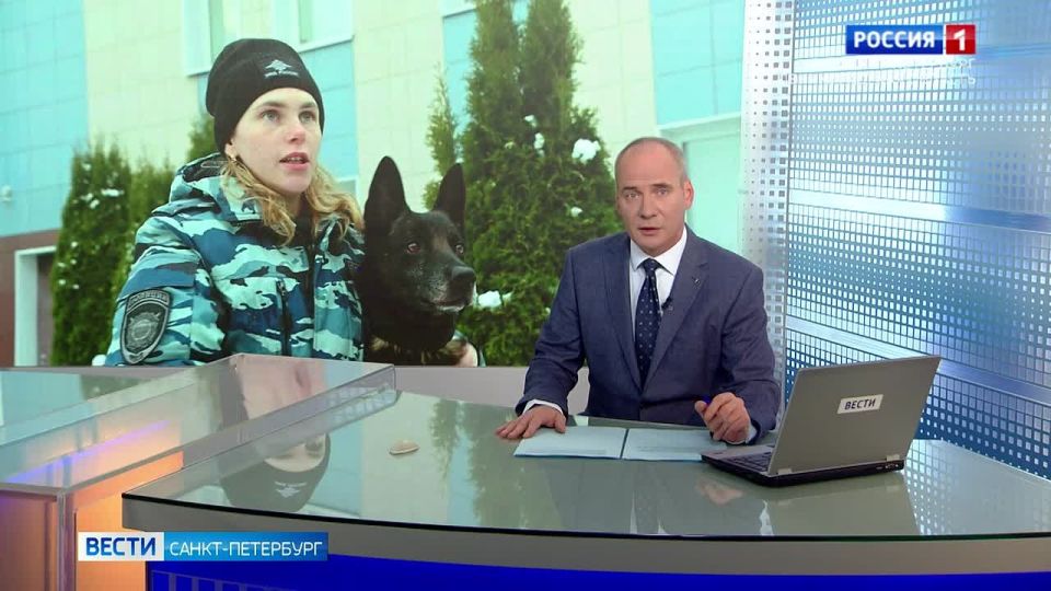 Поджигателя вышки связи под Петербургом помогла найти служебная овчарка