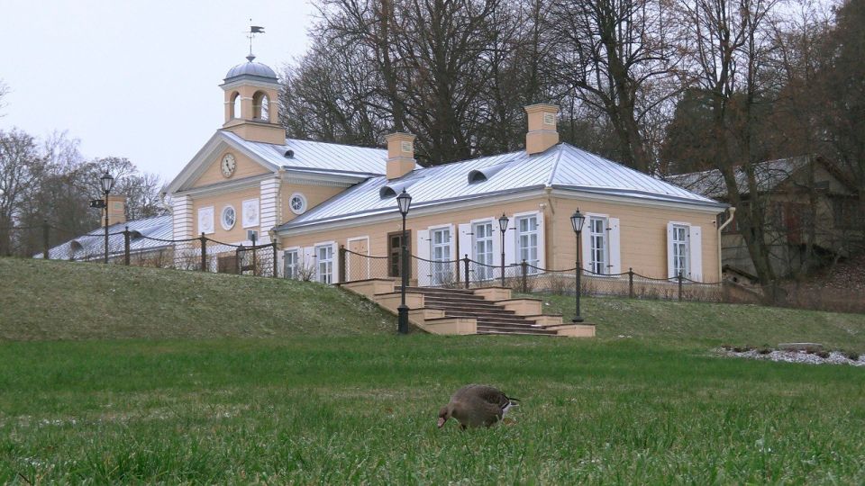 Гусь отстал от стаи и решил отдохнуть в парке Монрепо