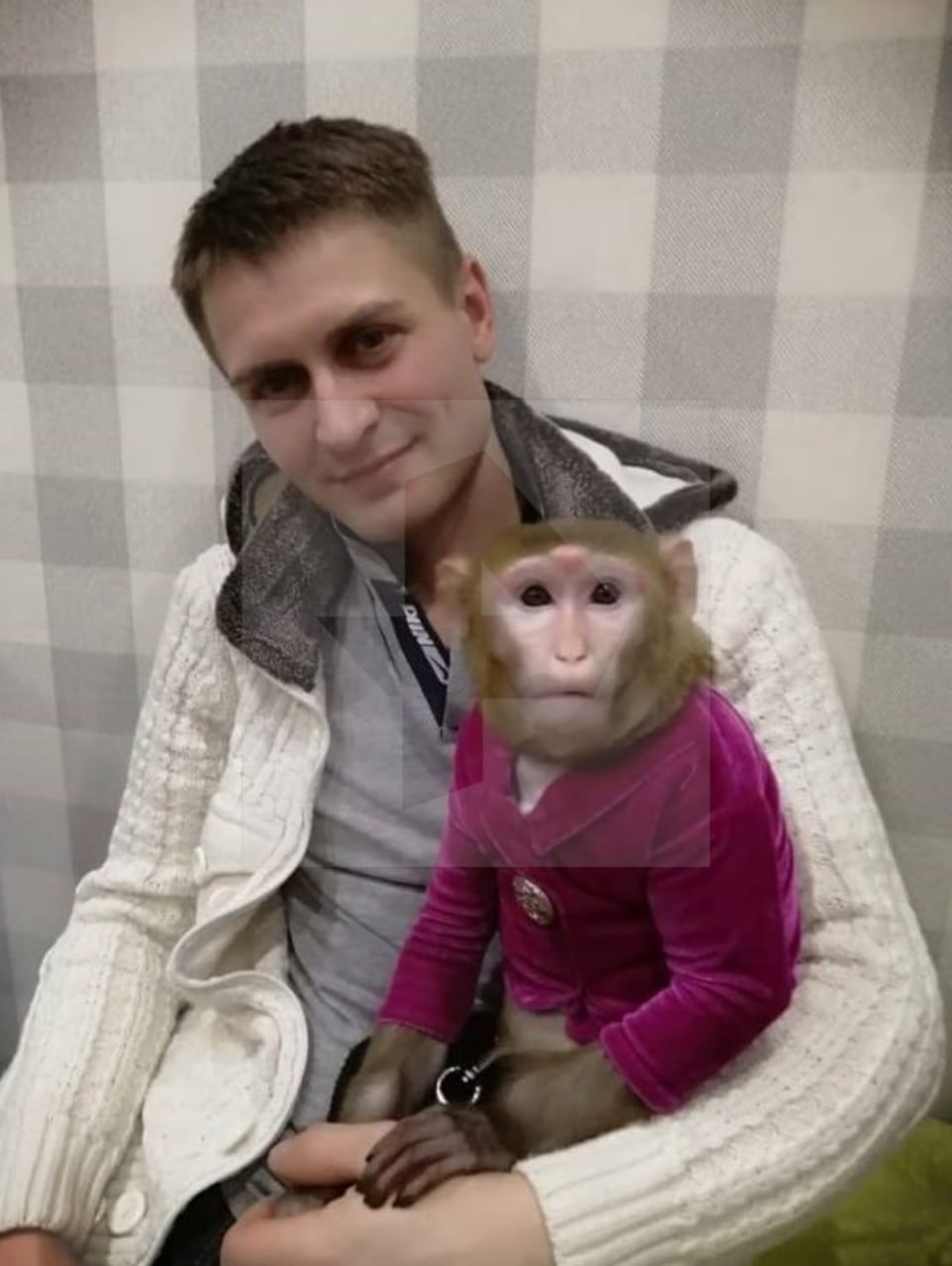 Обезьяна по кличке Маша пропала в Петербурге Обезьяна по кличке Маша пропала в Петербурге