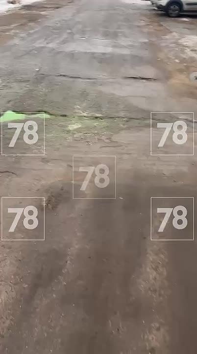 Неоновую жижу заметили в водоёме во Всеволожске — оказалось, кто-то решил добавить красок в хмурый ноябрь