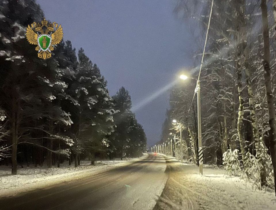 После прокурорской проверки на дороге в Сланцах стало светлее!