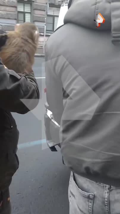 Обезьяна по кличке Маша пропала в Петербурге