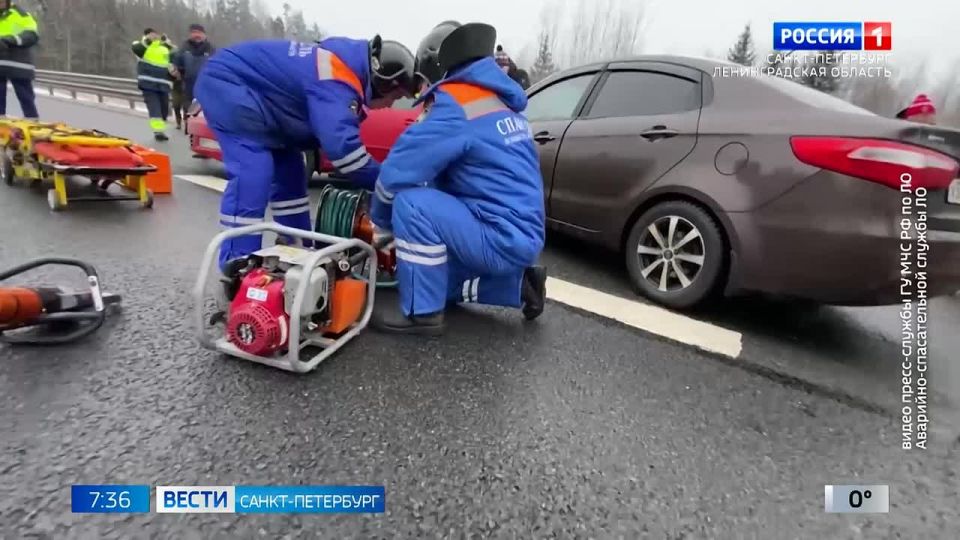 На трассе М-11 прошли масштабные учения экстренных служб