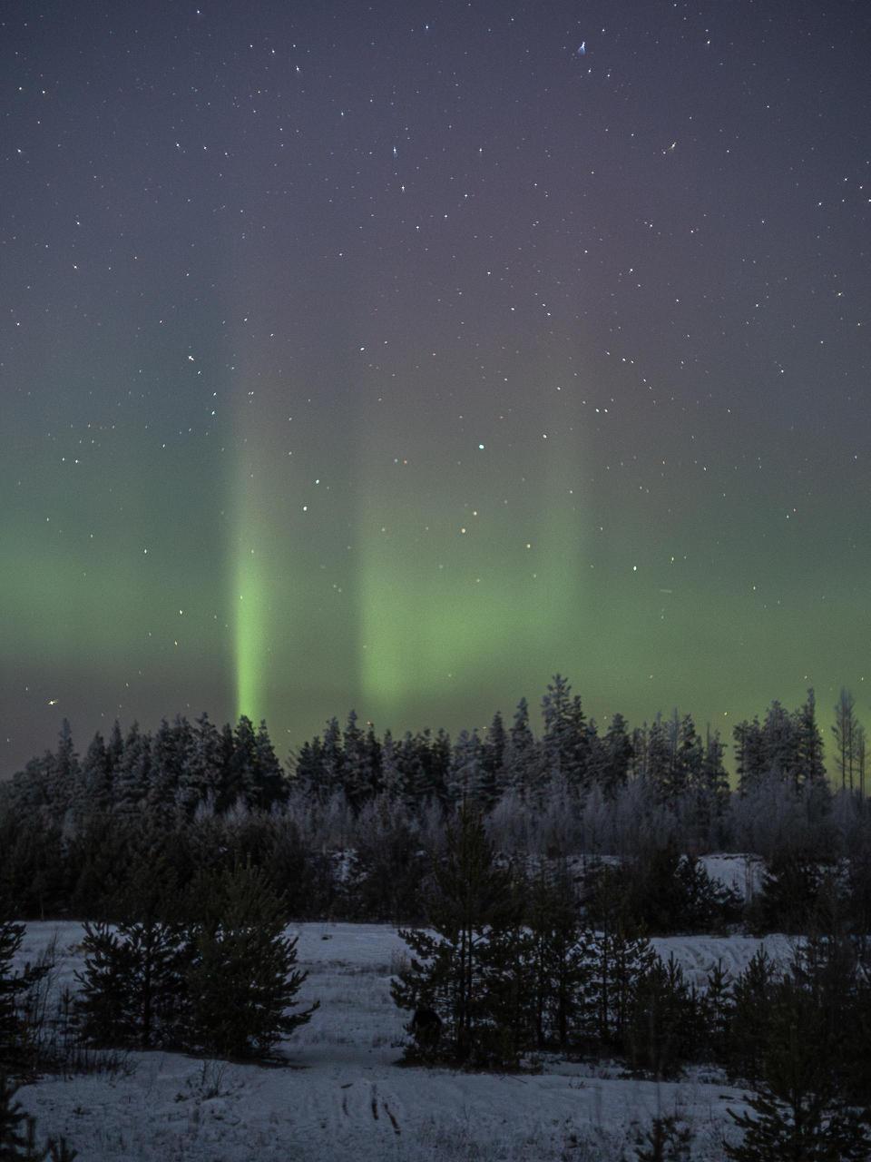 Северное сияние над заснеженным лесом запечатлели в Ленобласти Северное сияние над заснеженным лесом запечатлели в Ленобласти